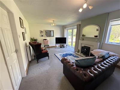 Picture 5